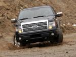 Ford F-150 Platinum 2008 года